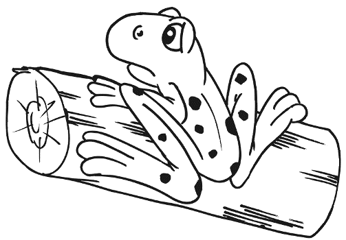animal Frog on log coloring pages